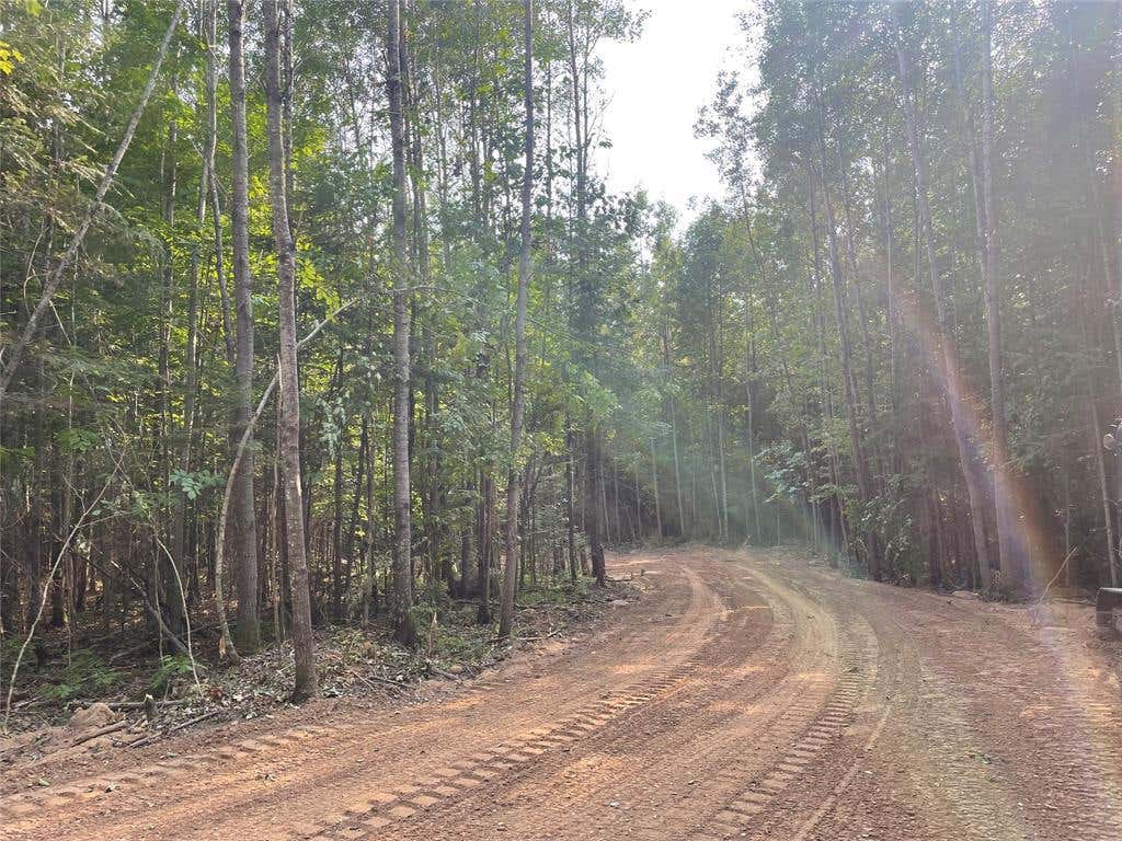 Photo of Lot 6 Uncle Toms Rd, Loretta, WI 54896 (MLS # 1603742)