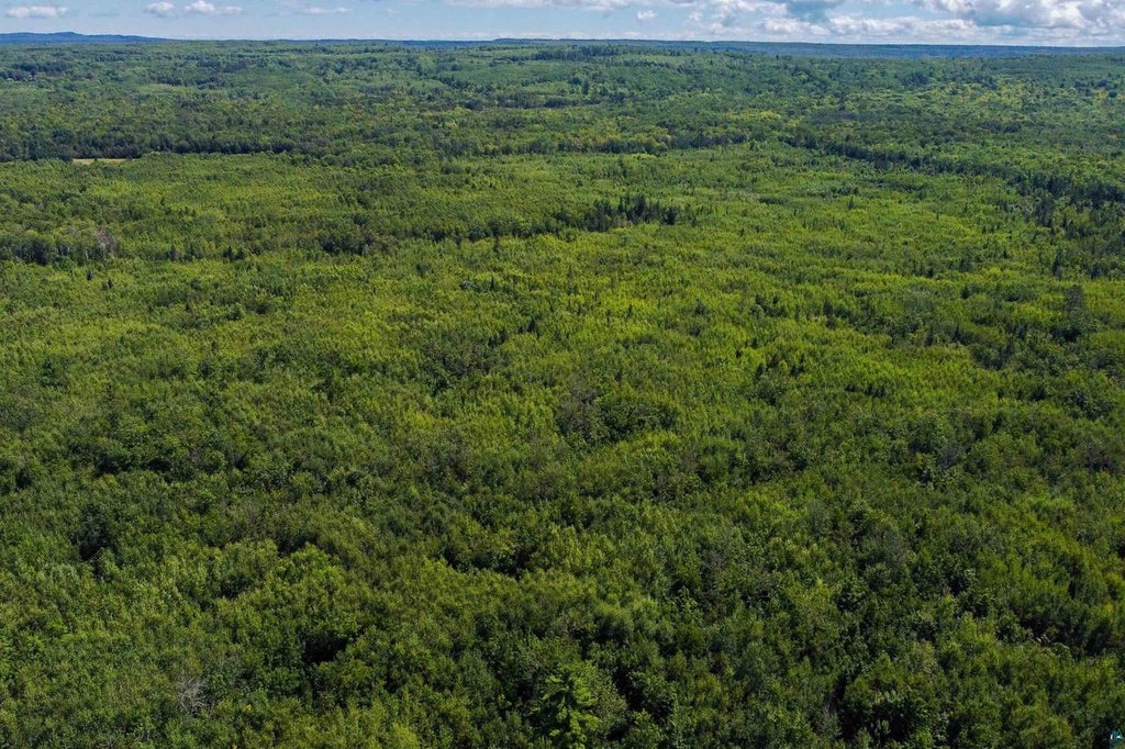 Photo of 40 Acres Near State Hwy 13, Herbster, WI 54844 (MLS # 6127681)