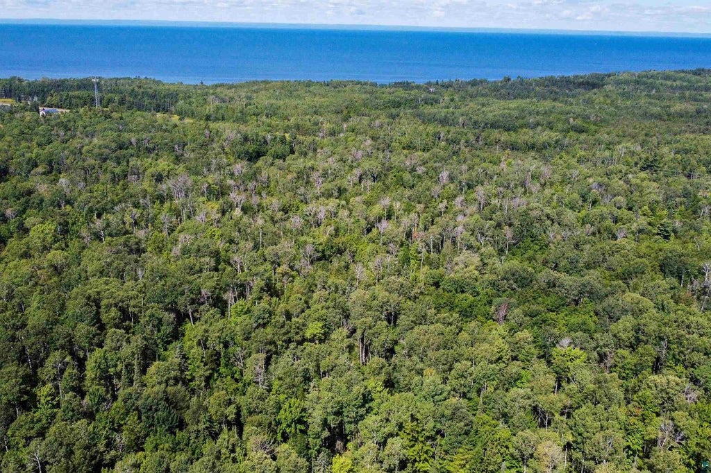 Photo of 40 Acres Near State Hwy 13, Herbster, WI 54844 (MLS # 6127681)