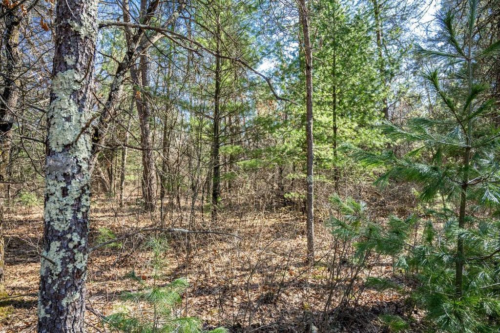 Photo of Lot 3 Morros Mile ROAD, Necedah, WI 54646 (MLS # 2019985)