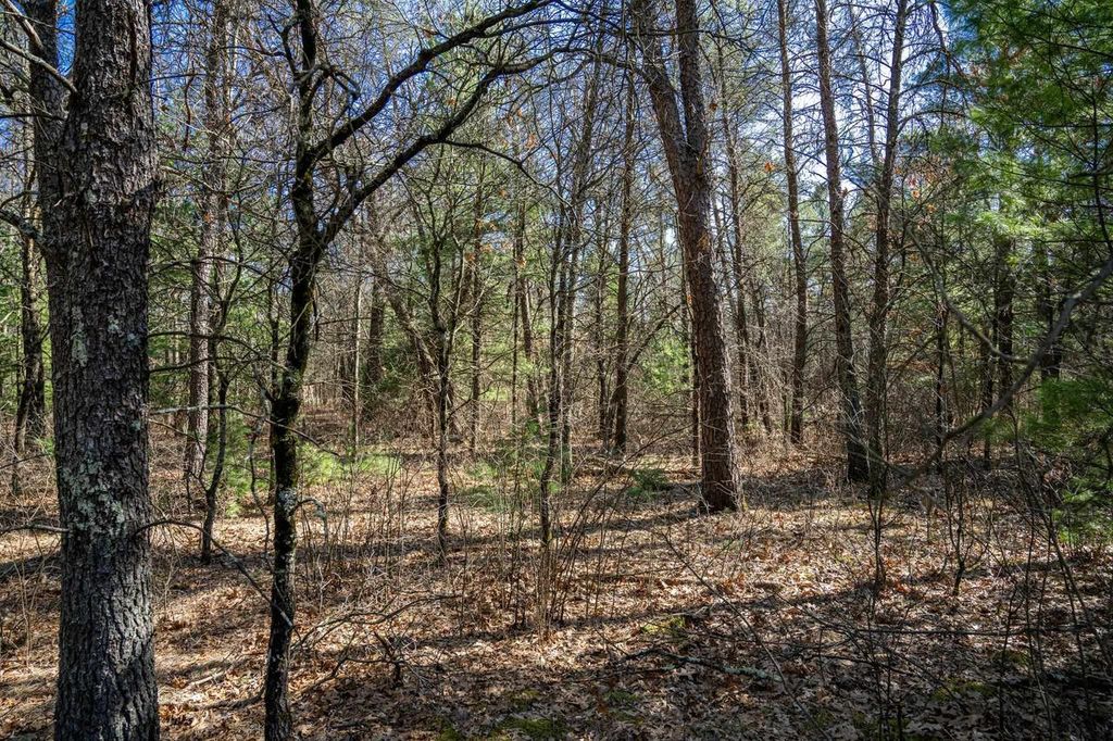 Photo of Lot 3 Morros Mile ROAD, Necedah, WI 54646 (MLS # 2019985)