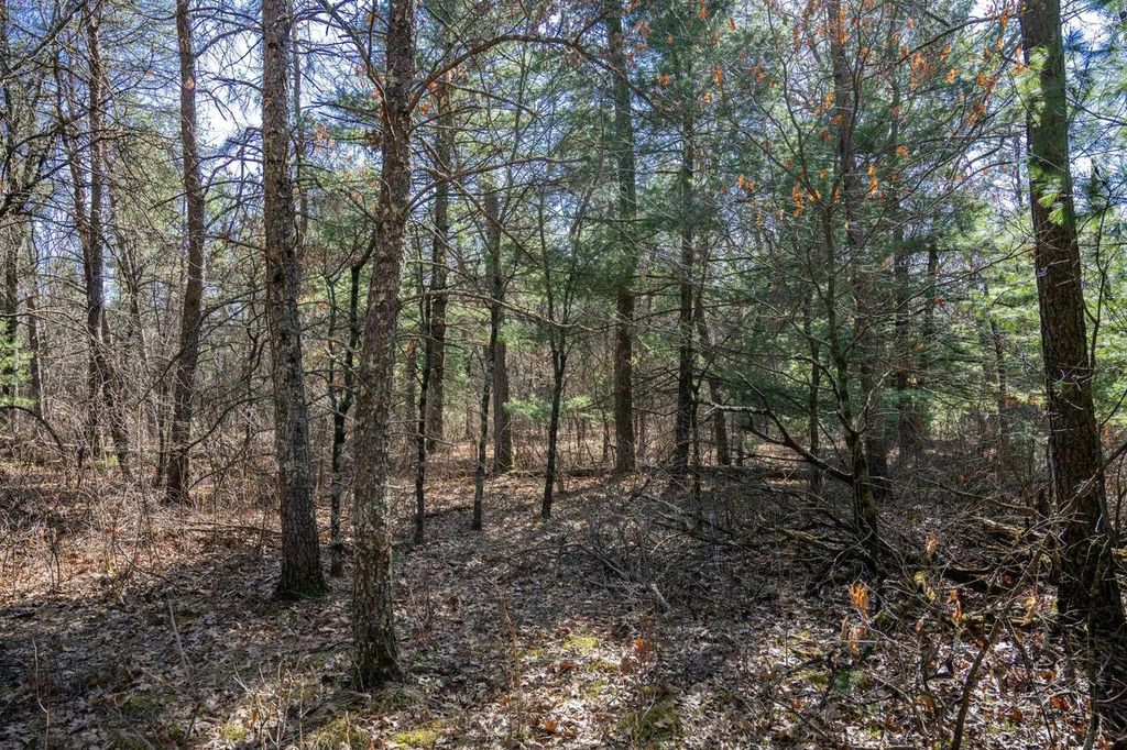 Photo of Lot 3 Morros Mile ROAD, Necedah, WI 54646 (MLS # 2019985)