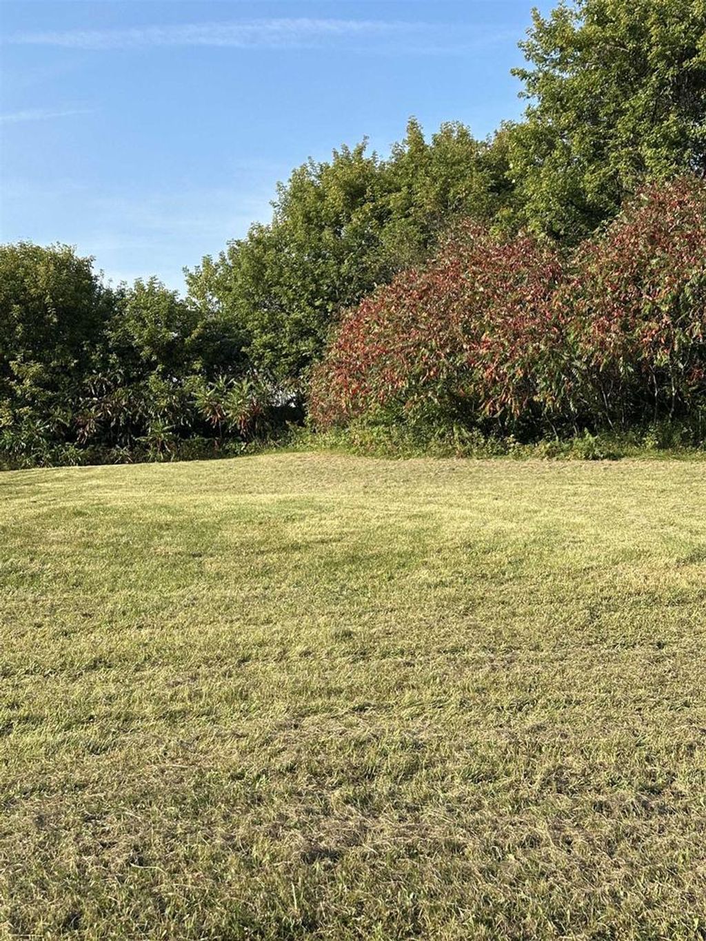 Photo of 793-795 Fairway DRIVE, Mosinee, WI 54455 (MLS # 22504443)