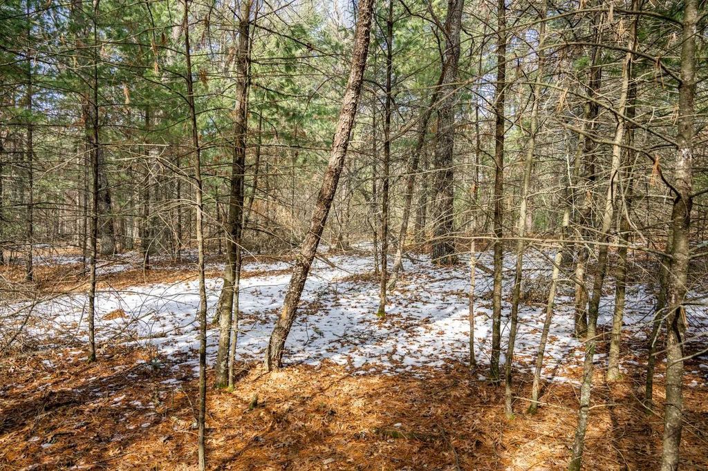 Photo of Lot 38 S Badger LANE, Arkdale, WI 54613 (MLS # 2018292)