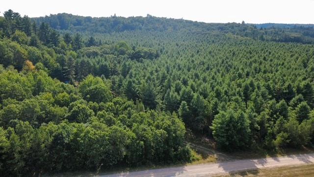 Photo of W12669 Monthei ROAD, Alma Center, WI 54611 (MLS # 1604457)