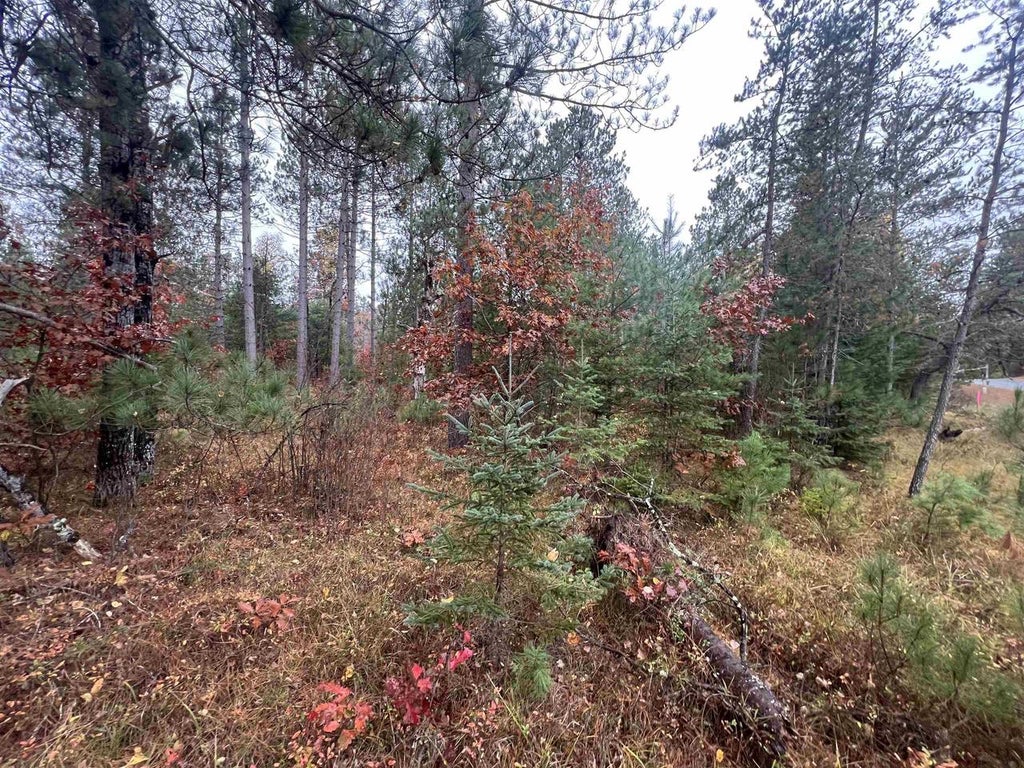 Photo of Trout Haven ROAD, Dunbar, WI 54119 (MLS # 50334627)