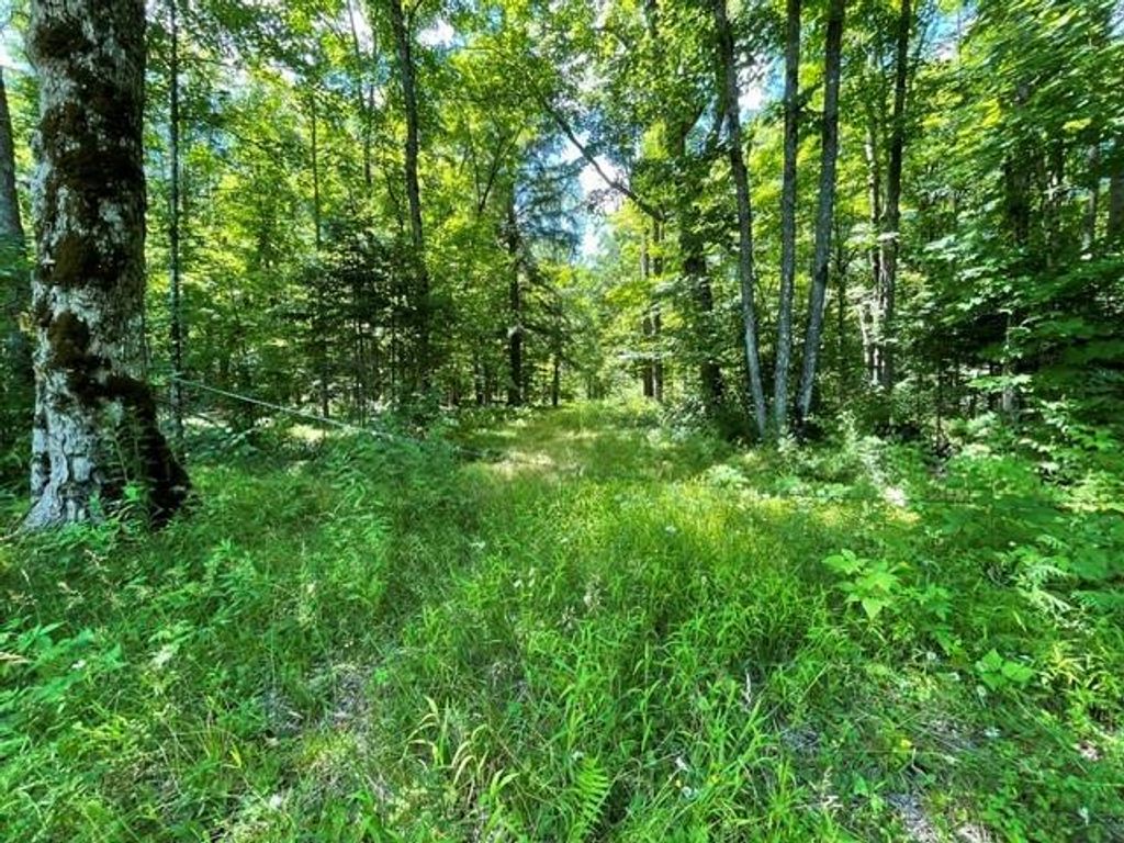Photo of 0 Dam ROAD, Ojibwa, WI 54896 (MLS # 1603016)