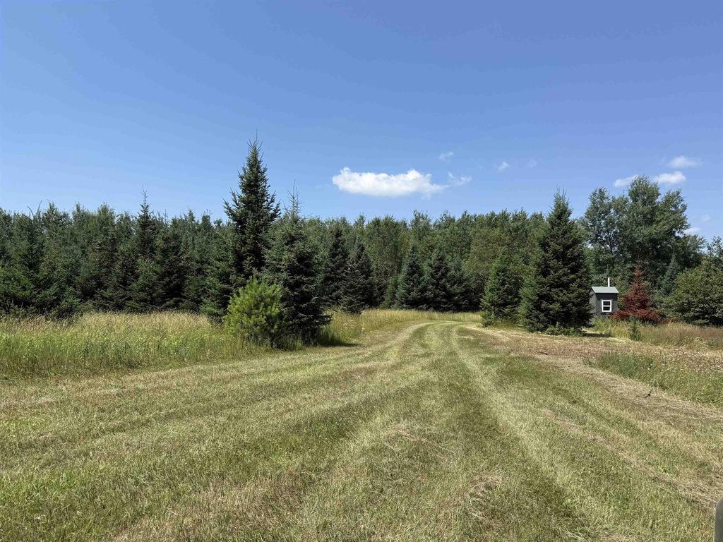 Photo of Red Hickory ROAD, Eland, WI 54427 (MLS # 22603295)