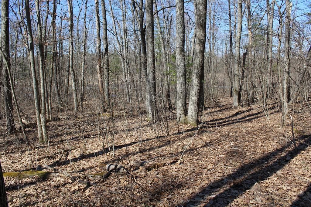 Photo of 00 Resewood Ave. Lot - 3, Neillsville, WI 54456 (MLS # 1599887)