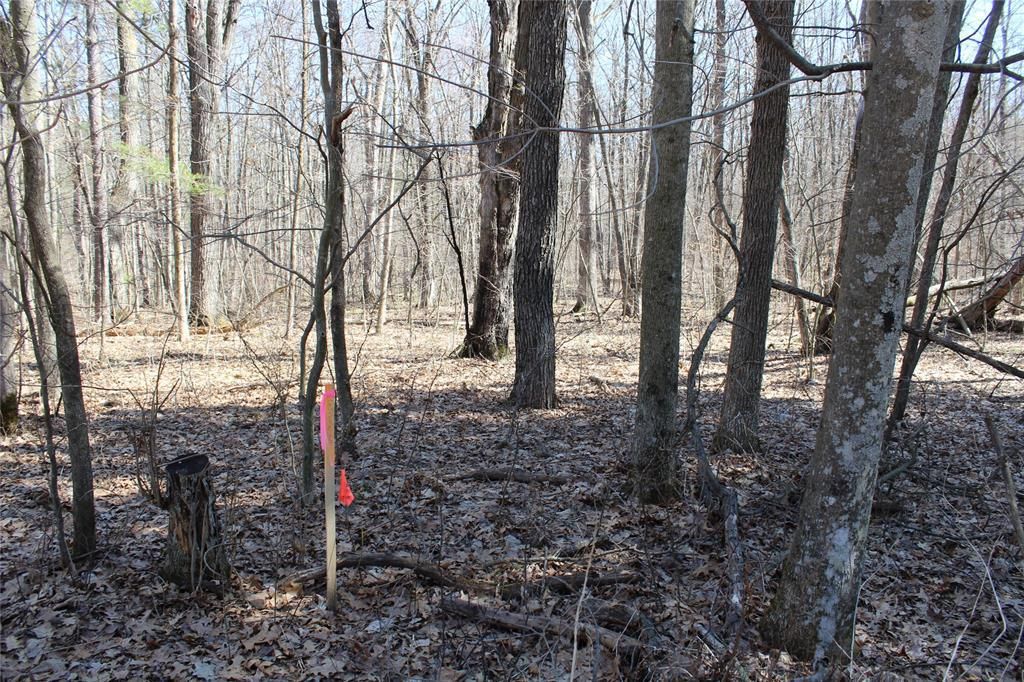 Photo of 00 Resewood Ave. Lot - 3, Neillsville, WI 54456 (MLS # 1599887)