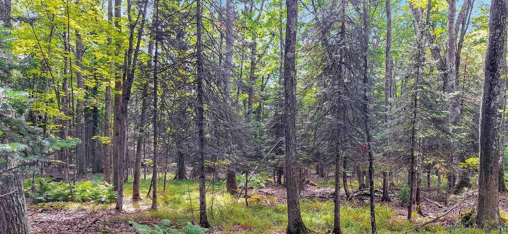 Photo of 657 Spruce LANE, La Pointe, WI 54850 (MLS # 6124436)