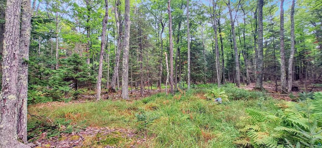 Photo of 657 Spruce LANE, La Pointe, WI 54850 (MLS # 6124436)