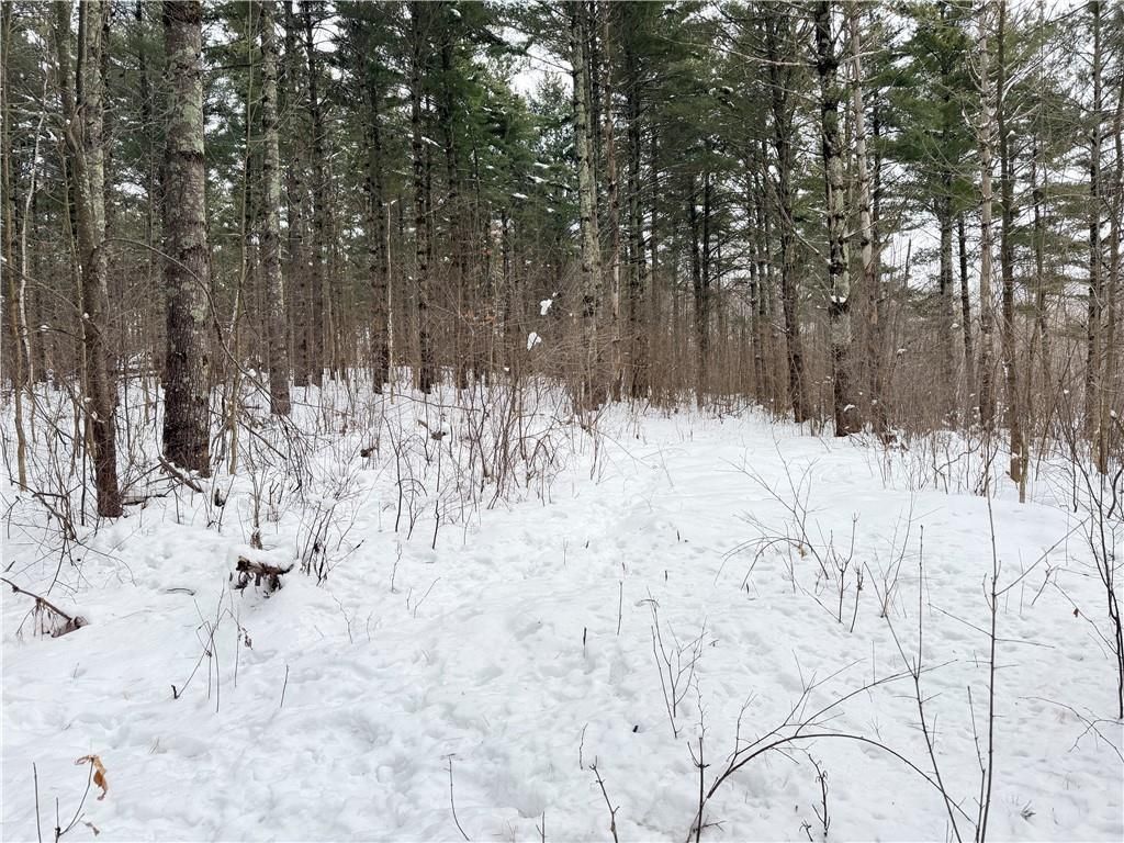 Photo of 20 Acres Star Lake ROAD, Rice Lake, WI 54868 (MLS # 1598594)