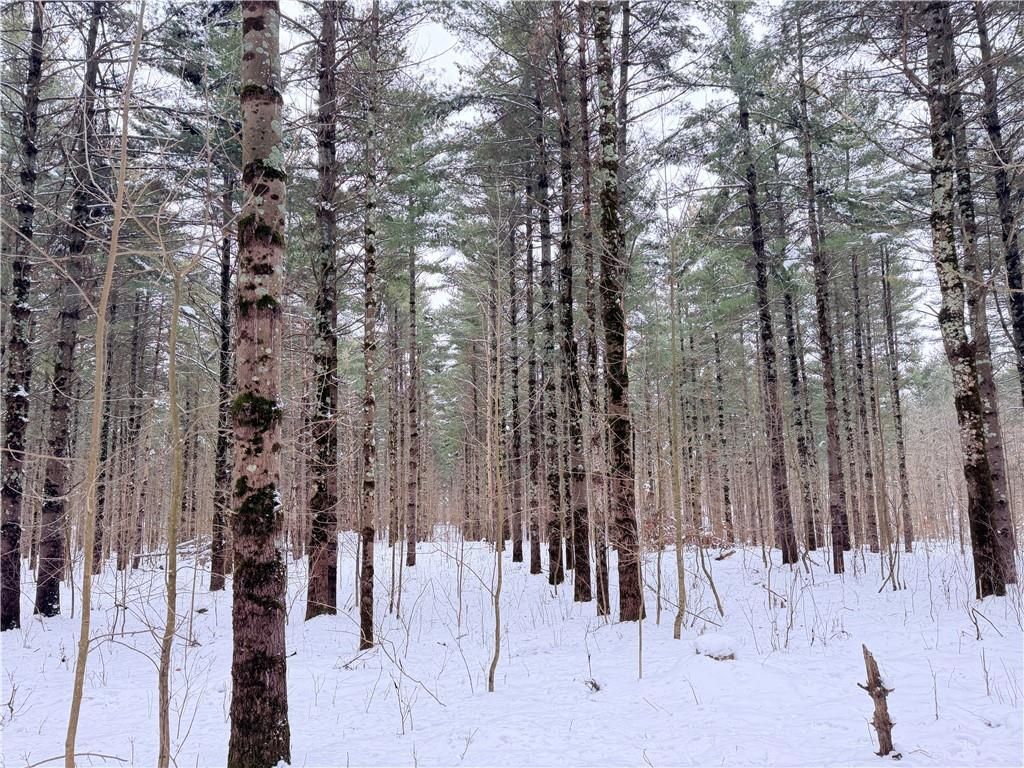 Photo of 20 Acres Star Lake ROAD, Rice Lake, WI 54868 (MLS # 1598594)