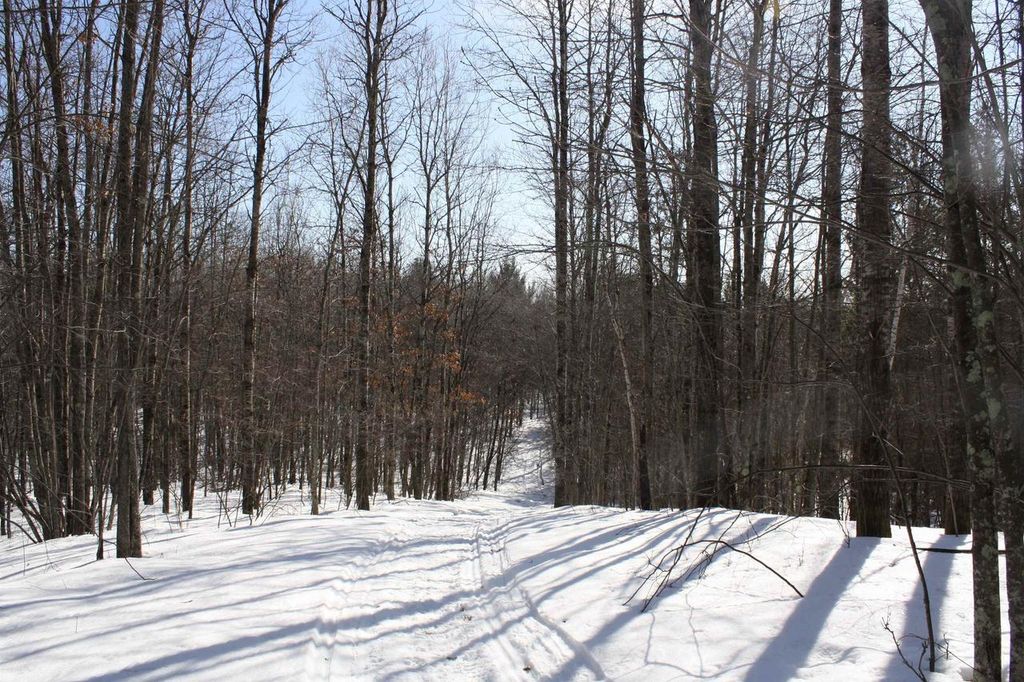 Photo of On W Rapids ROAD, Lake Tomahawk, WI 54539 (MLS # 2017703)