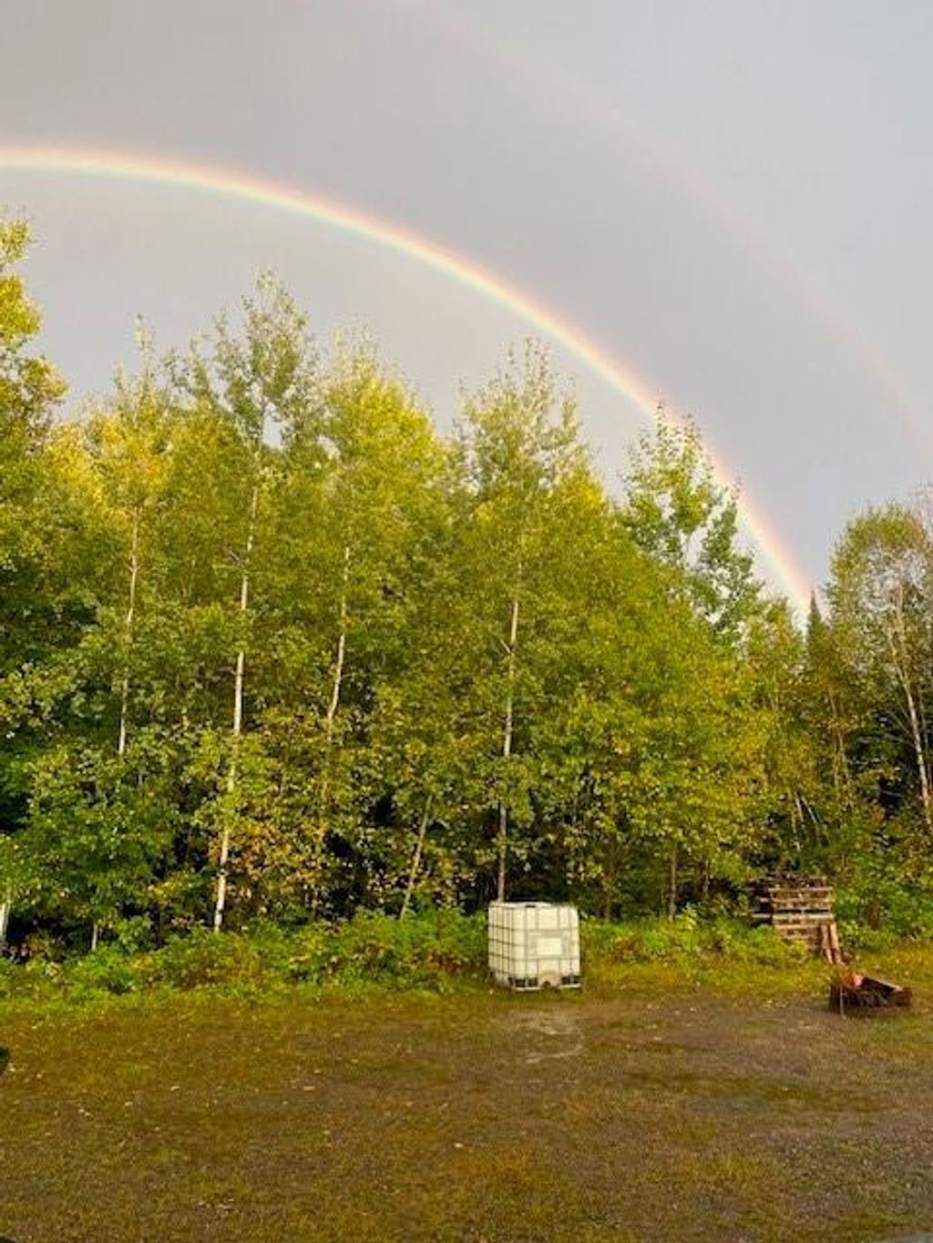 Photo of 8225 Blaisdell Lake ROAD, Winter, WI 54896 (MLS # 1600828)