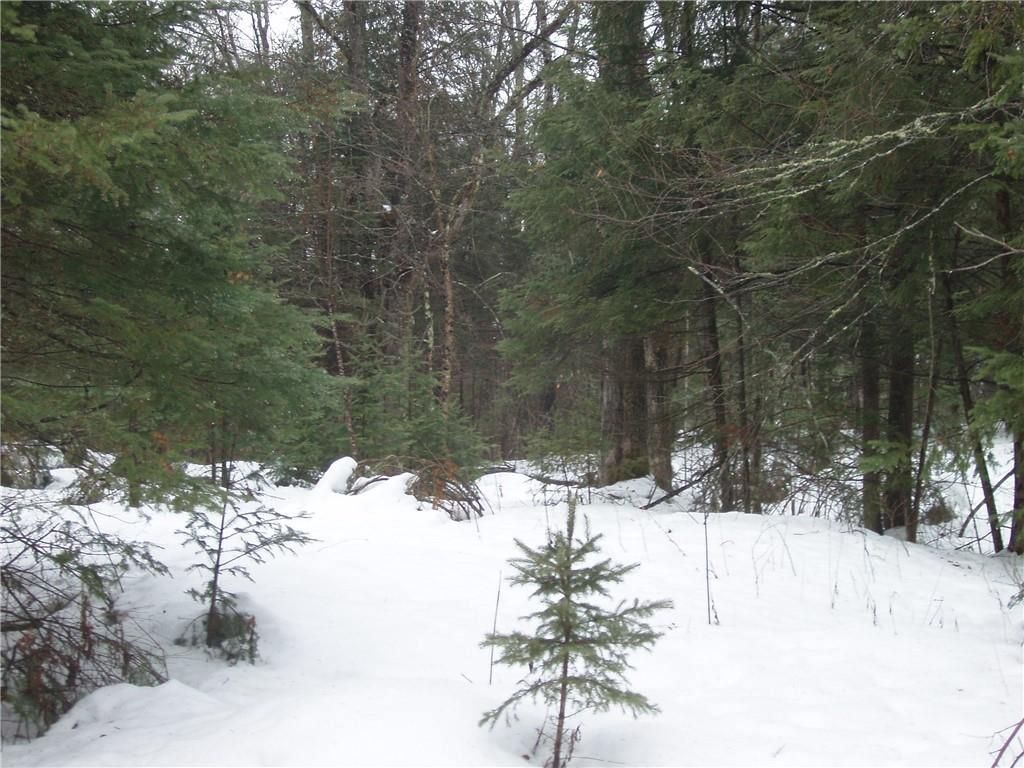 Photo of N14335 Krucky ROAD, Fifield, WI 54524 (MLS # 1597773)