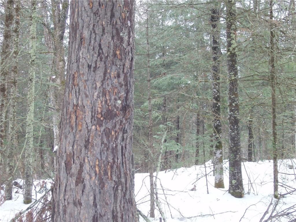 Photo of N14335 Krucky ROAD, Fifield, WI 54524 (MLS # 1597773)