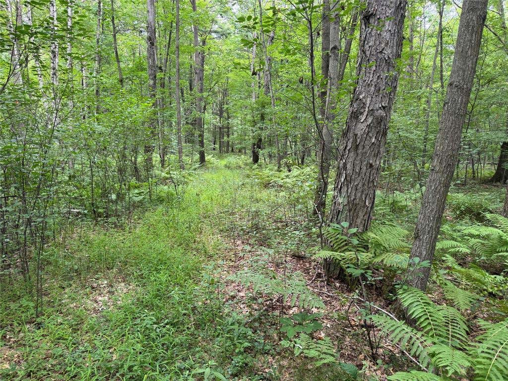 Photo of OOO Patton DRIVE, Marshfield, WI 54449 (MLS # 1603910)
