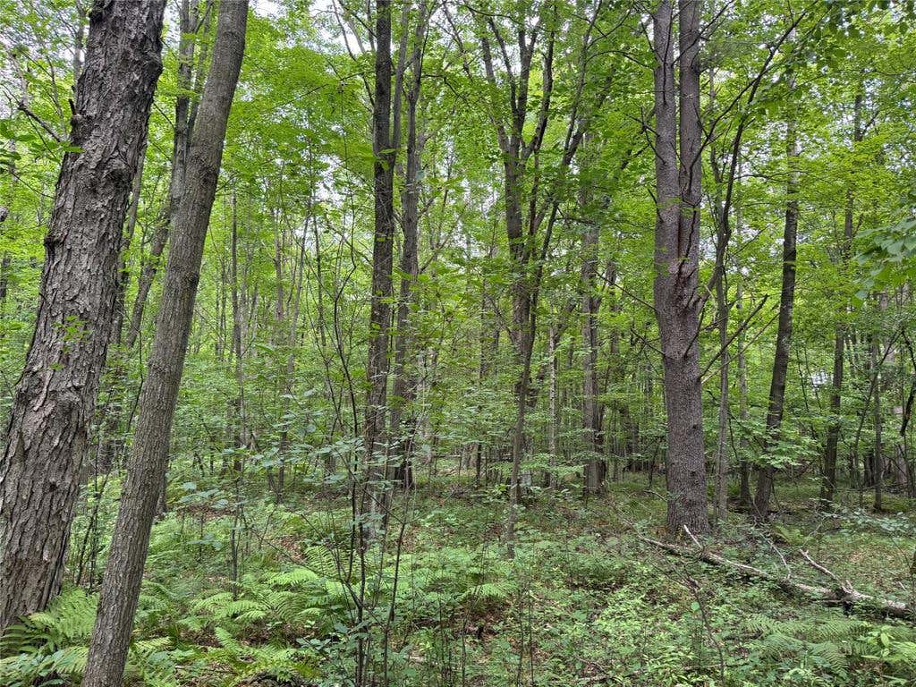 Photo of OOO Patton DRIVE, Marshfield, WI 54449 (MLS # 1603910)