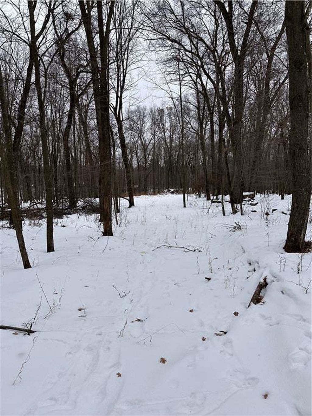 Photo of 17085 E County Road D, Fall Creek, WI 54742 (MLS # 1598232)