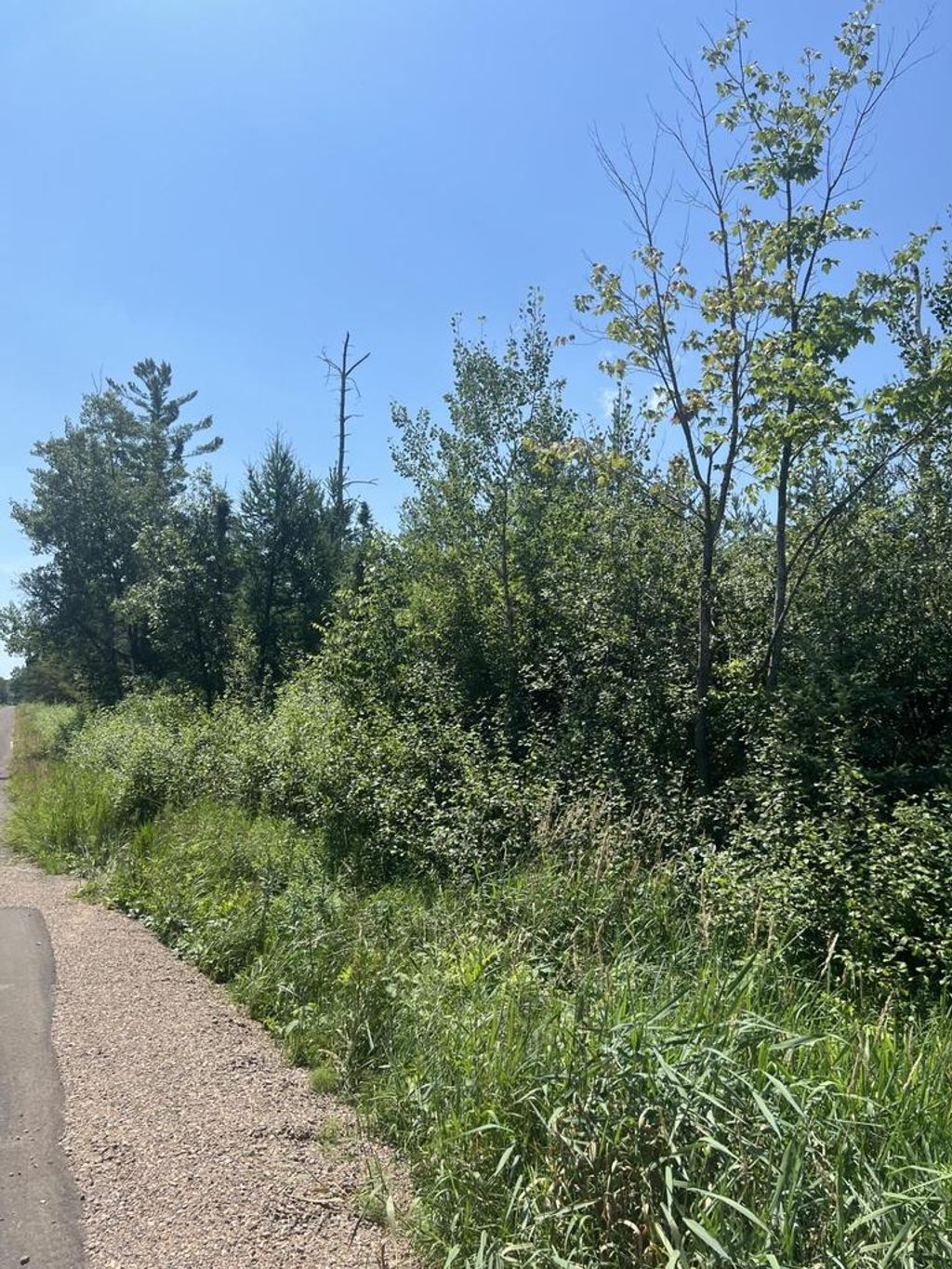 Photo of 00 County Road A #Willow and County Ro, Tomahawk, WI 54487 (MLS # 22503601)