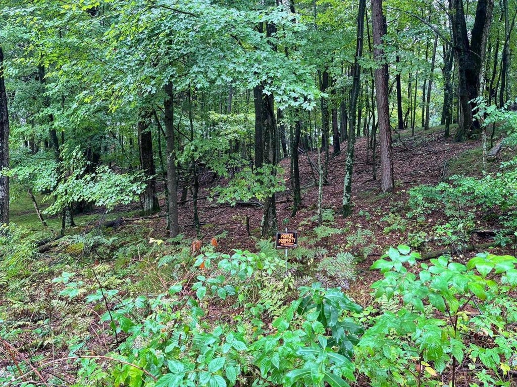 Photo of Doede ROAD, Iola, WI 54945 (MLS # 50333154)