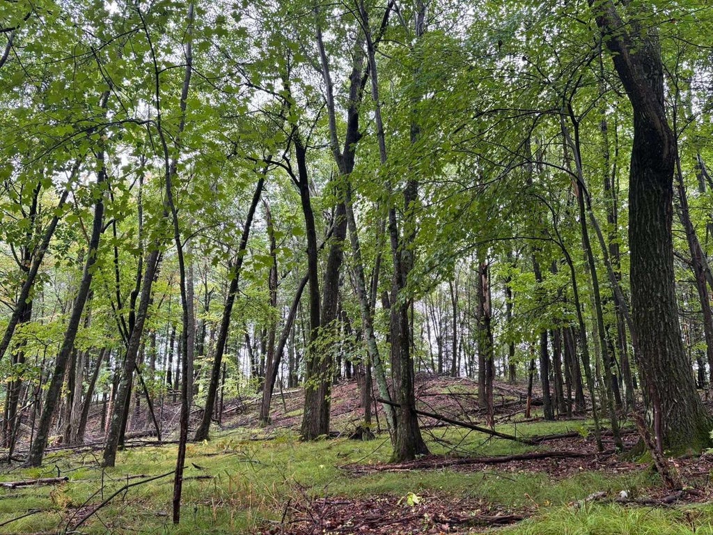 Photo of Doede ROAD, Iola, WI 54945 (MLS # 50333154)