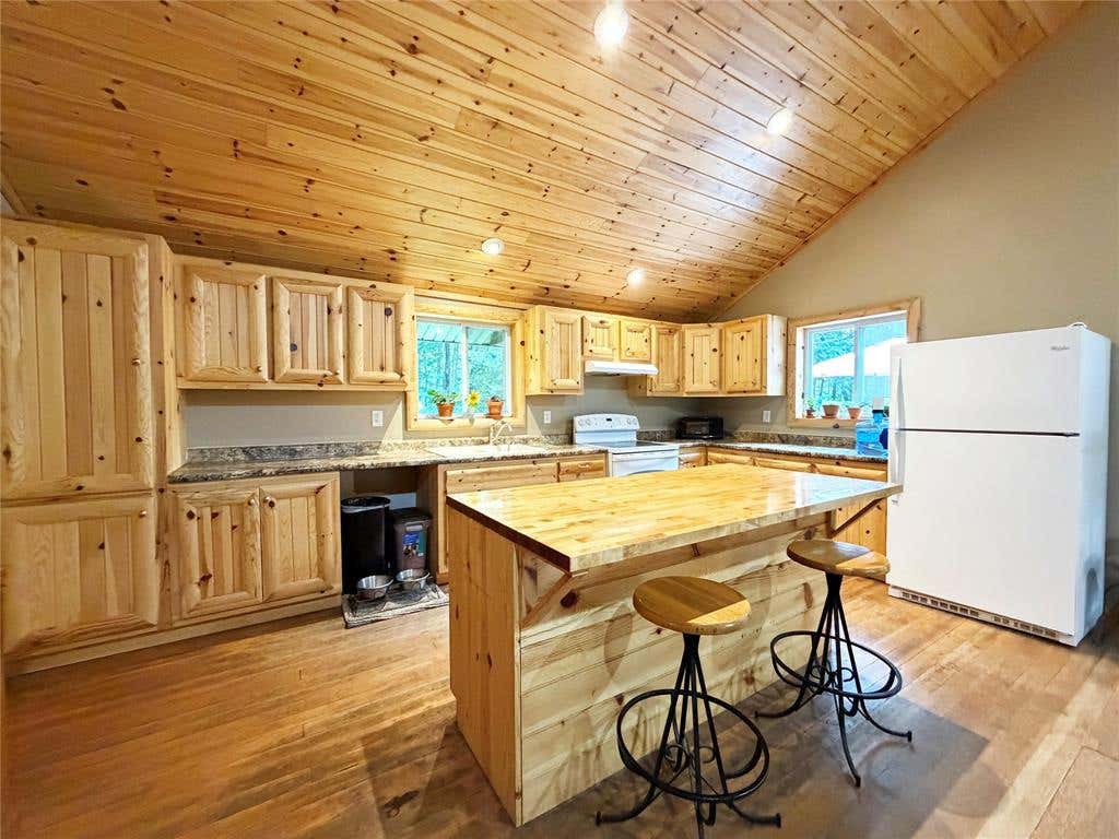 Photo of N581 Chippewa AVENUE, Holcombe, WI 54745 (MLS # 1603423)