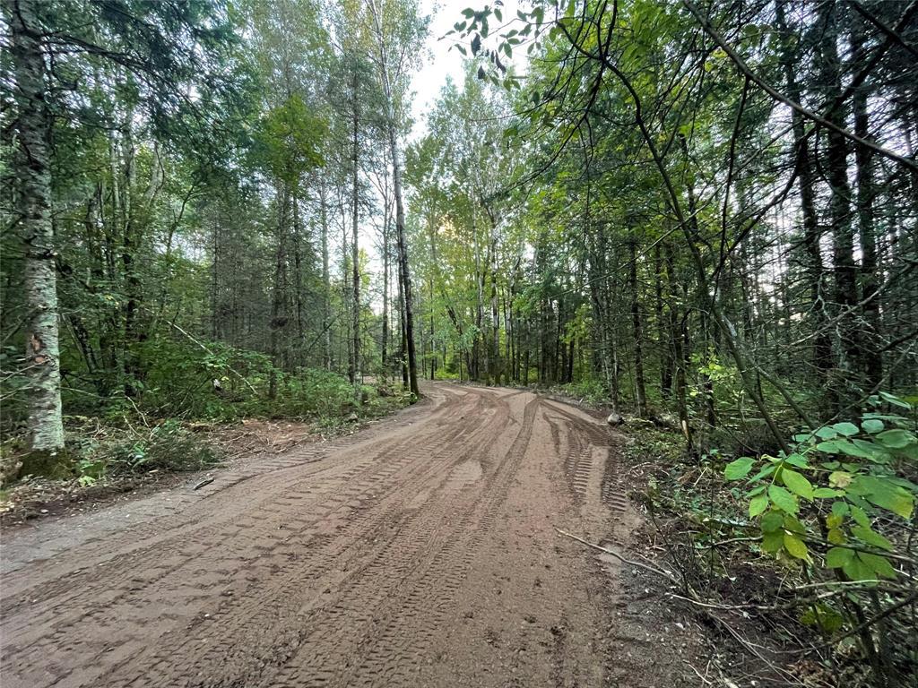 Photo of Lot 1 Fadness ROAD, Winter, WI 54896 (MLS # 1605263)