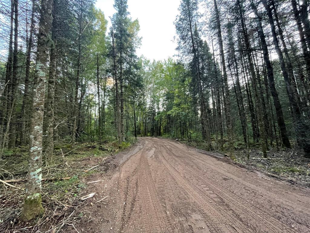 Photo of Lot 1 Fadness ROAD, Winter, WI 54896 (MLS # 1605263)
