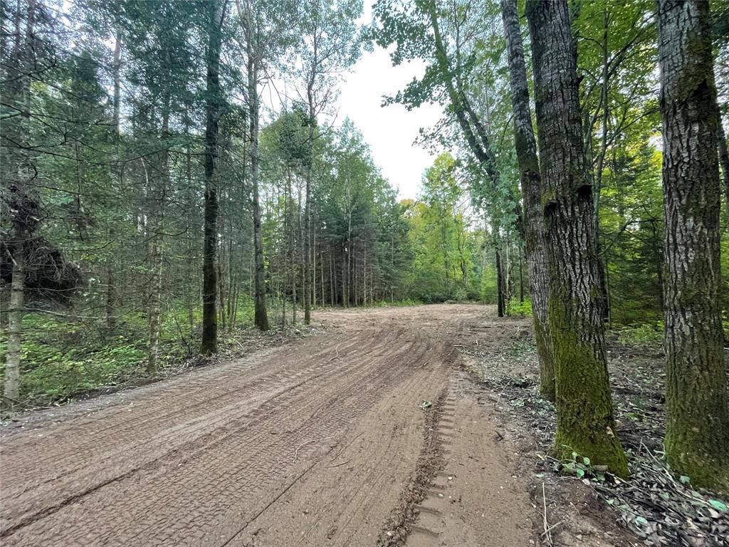 Photo of Lot 1 Fadness ROAD, Winter, WI 54896 (MLS # 1605263)