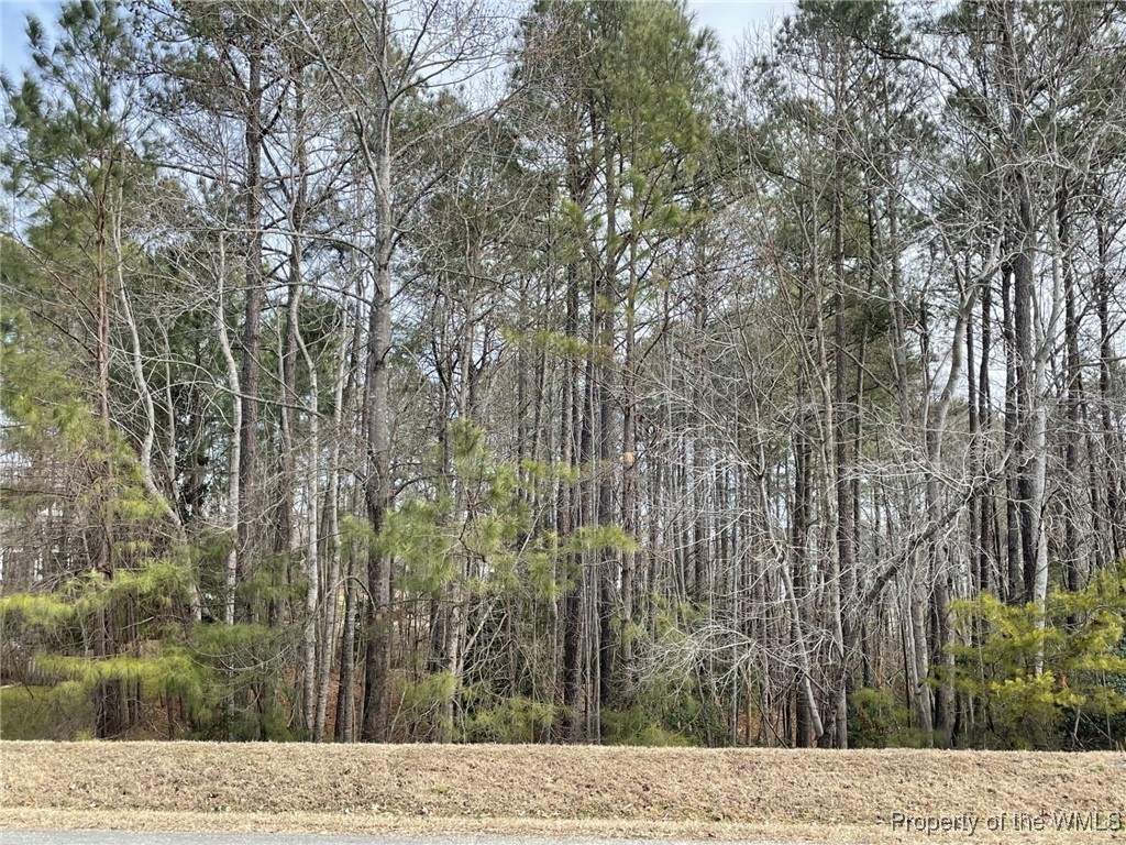 Listing image 8