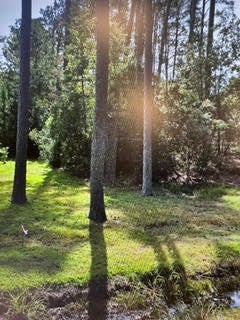Photo for .880ac Lillys Neck Road