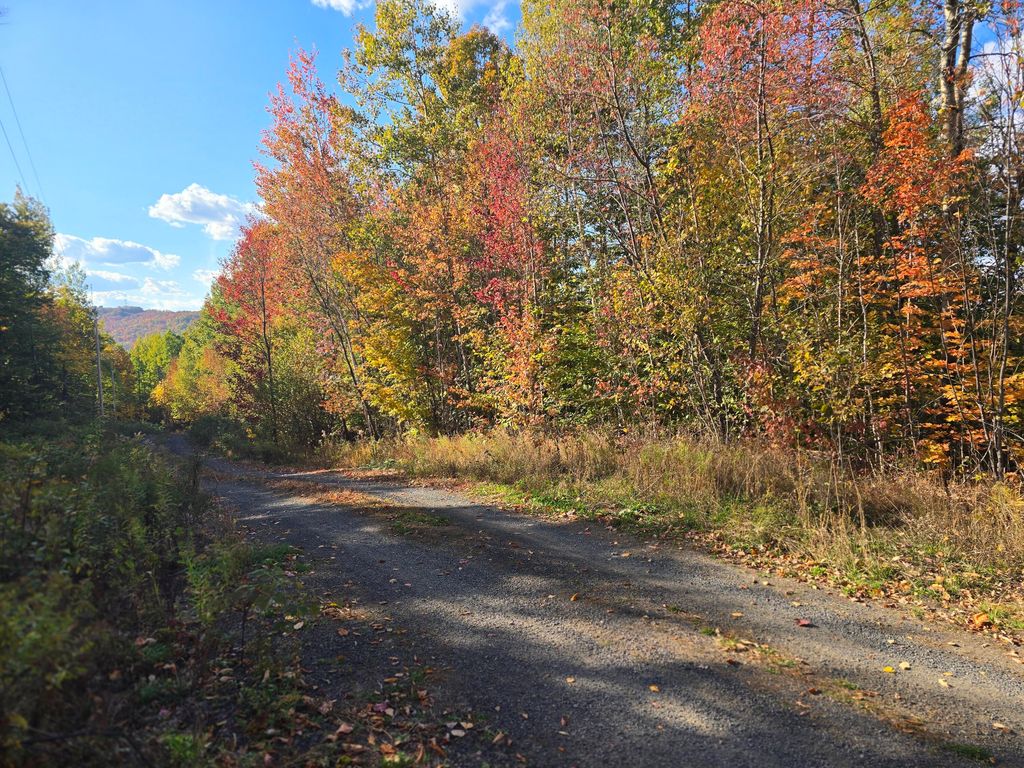 Photo of Lot 21 Red Granite Road, Island Falls, ME 04747 (MLS # 1639929)