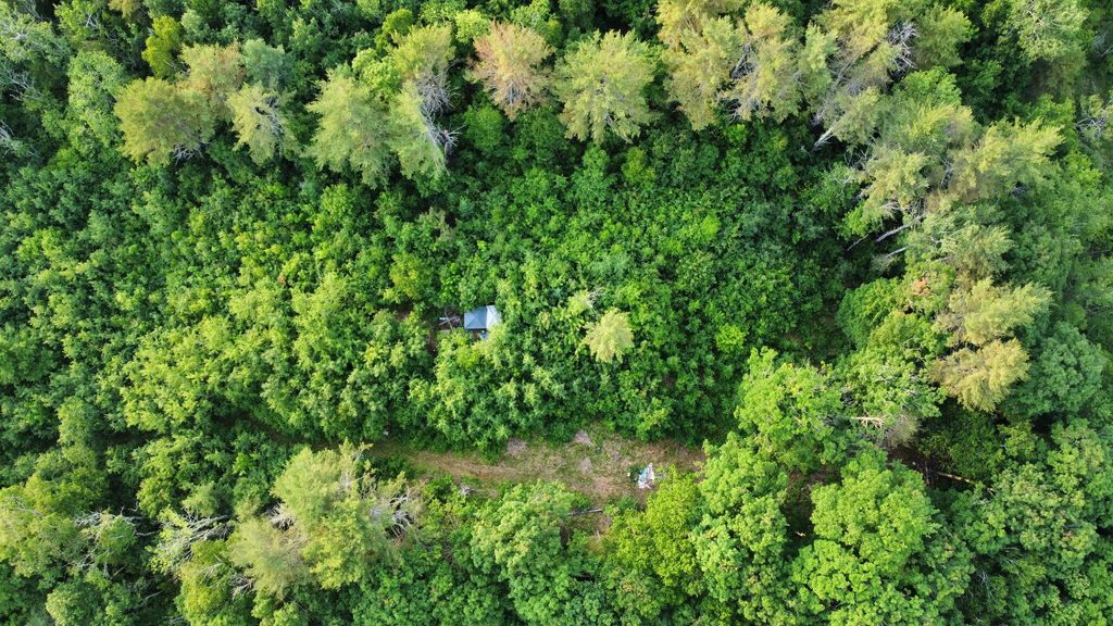 Photo of 735 Swan Lake Avenue, Swanville, ME 04915 (MLS # 1652831)