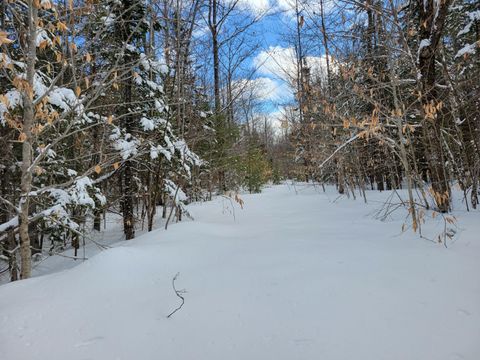 Photo of L87.1 Songo Pond Road, Albany Twp, ME 04217 (MLS # 1614089) Photo of L87.1 Songo Pond Road, Albany Twp, ME 04217 (MLS # 1614089)