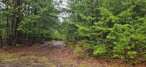 Photo of R01-38.4 Parsons Road, Paris, ME 04281 (MLS # 1662511)