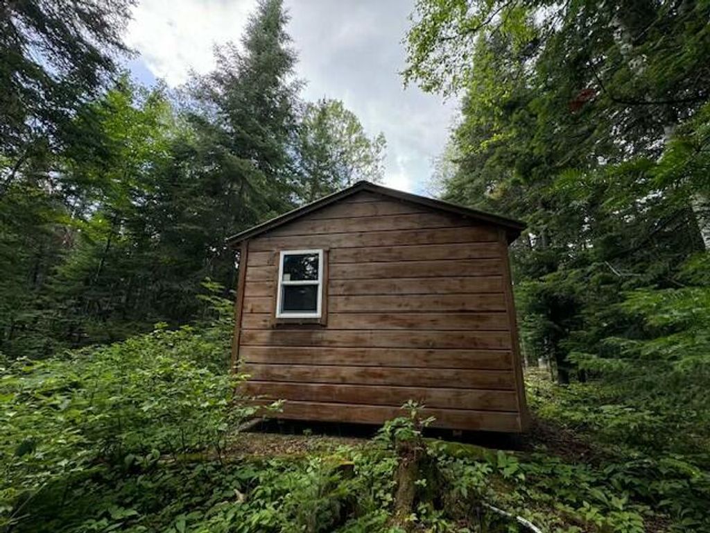 Photo of Lot #3 Pleine Road, Saint Agatha, ME 04772 (MLS # 1649560)