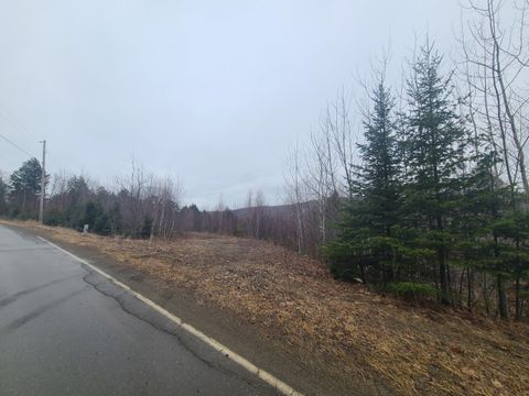 Photo of 7-41 Bottle Lake Road, Lakeville, ME 04487 (MLS # 1656364)