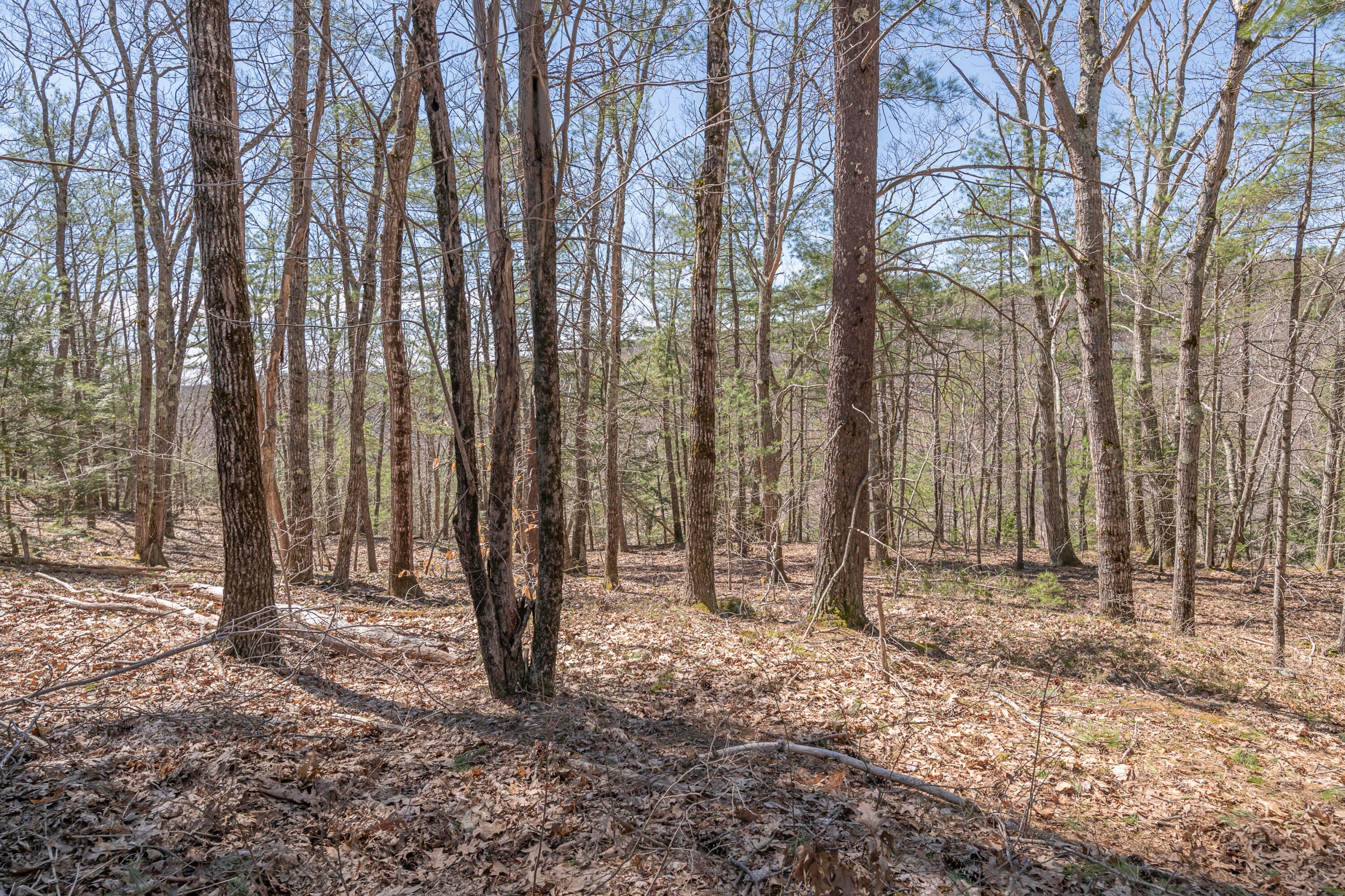 Lot 2 Ridge Road