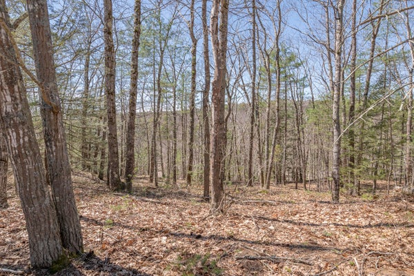 2 RIDGE RD, BATH, ME 04530 - Image 02ade7cc5681f8caa96f2ec01abc9ecc/2153071532