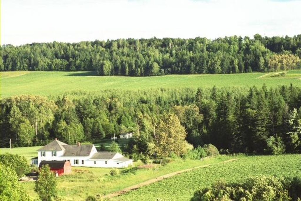 Photo of 558 Center Limestone Road, Fort Fairfield, ME 04742 (MLS # 1652567)