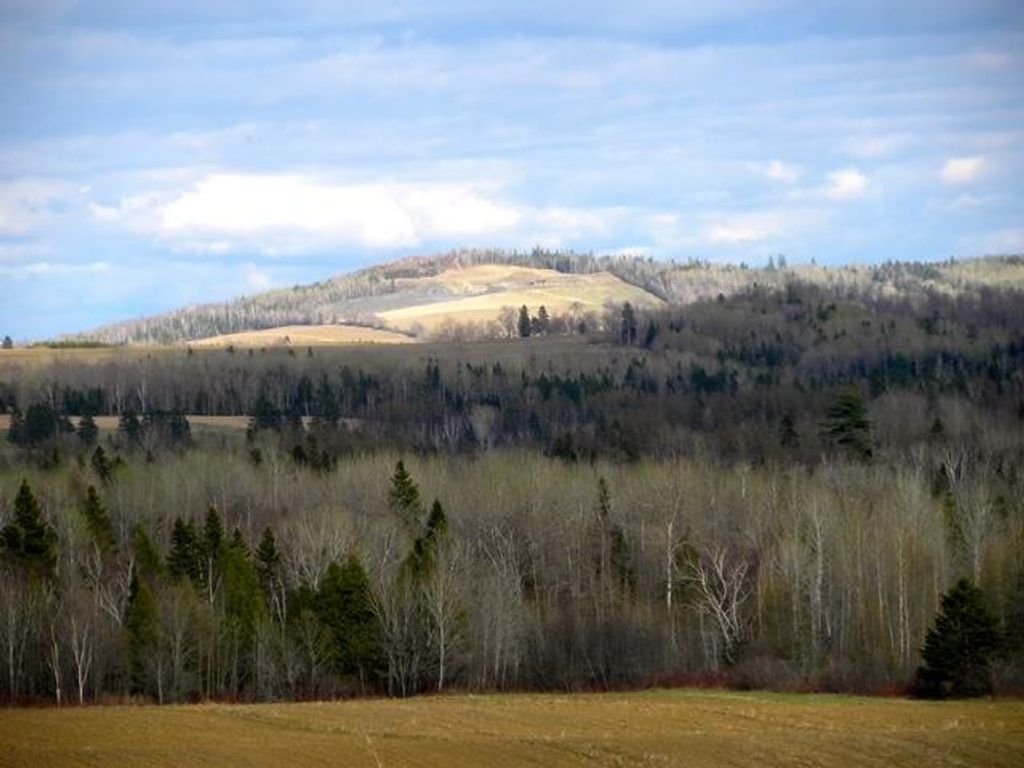 Photo of 558 Center Limestone Road, Fort Fairfield, ME 04742 (MLS # 1652567)