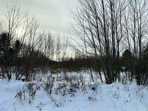 Photo of 239 Bolsters Mills Road, Harrison, ME 04040 (MLS # 1647263)