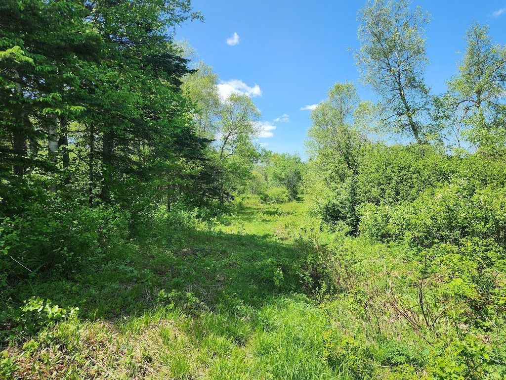 Photo of M 7 L 52 Boundary Line Road, Hamlin, ME 04785 (MLS # 1646122)