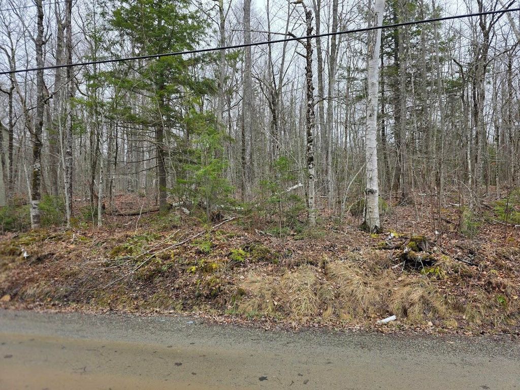Photo of 55 Cove Way, Ellsworth, ME 04605 (MLS # 1657954)