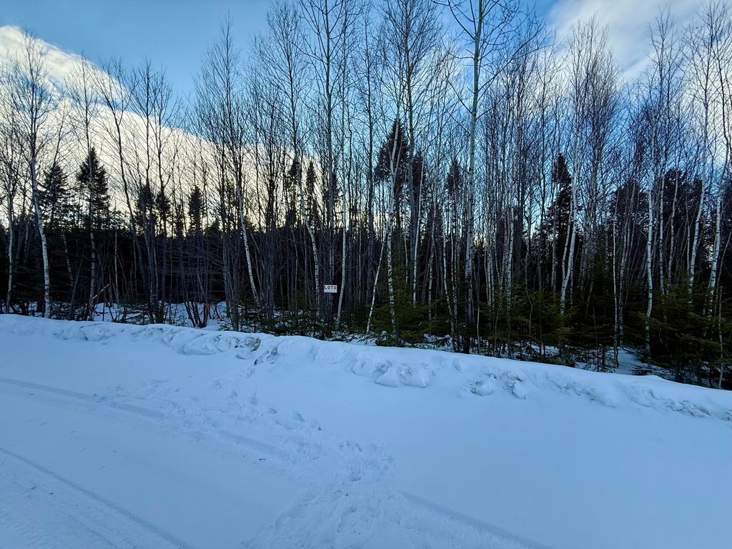 Photo of Lot #8 Greenville Steam Road, Greenville, ME 04441 (MLS # 1653052)