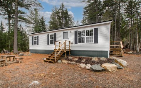 Photo of 327 Elm Street, Machias, ME 04654 (MLS # 1659083)