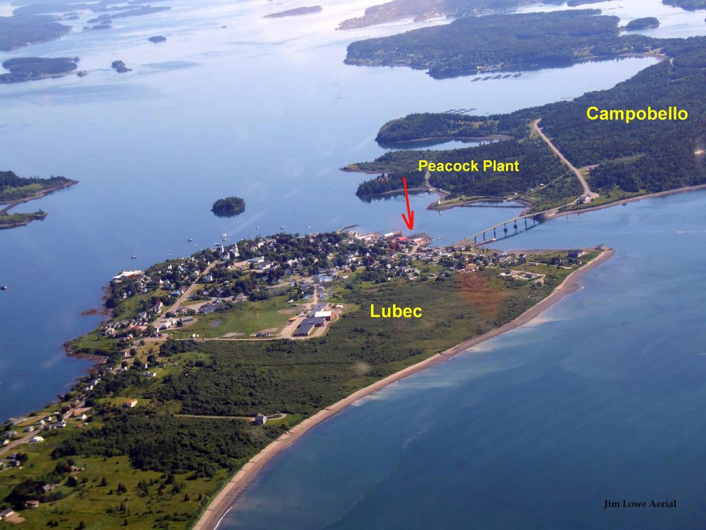 Photo of 72 Water Street, Lubec, ME 04652 (MLS # 1649411)